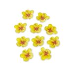 Papel de Arroz Comestível Flores de Hibisco 