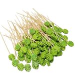 Palitos de Bambu Decorativos Para Hambúrguer Escolha Mod 2