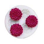 Molde de Silicone 3 Flores Suculentas M