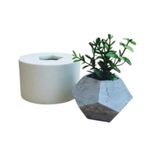 Molde de Silicone Vaso 10 Pontas