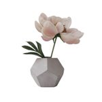 Molde de Silicone Vaso 10 Pontas
