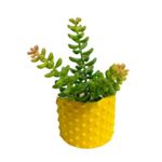 Molde de Silicone Vaso Formato Bolas para Decorar Casa