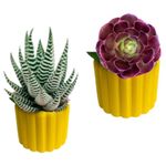 Molde de Silicone Vaso Listras para Decorar Casa
