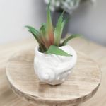 Molde de Silicone Vaso Búzio Concha p Decorar Casa