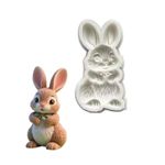 Molde de Silicone Coelho da Páscoa Realista