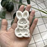 Molde de Silicone Coelho da Páscoa Realista