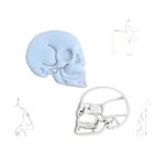 Cortador Anatomia Humana - Crânio Caveira 5,5cm