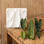 Molde de Silicone Folhas Exoticas para Decorar Doces 9cm