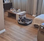 Piso Vinílico Tarkett Injoy Papoula 5,13m²