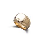 Anel Pinky Layer Round - Banho Ouro 18k | Pinky Layer Round Ring - 18k Gold Plating