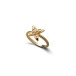 Anel B.330R - Banho Ouro 18K | B.330R - 18k Gold Plating