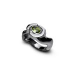 Anel Fotossíntese | Fotossintese Ring