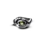 Anel Fotossíntese | Fotossintese Ring