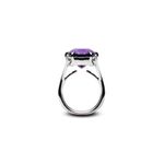 Anel Violet  | Violet Ring 