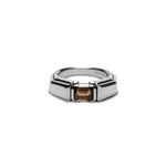 Anel Industrial | Industrial Ring