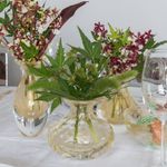 Vaso Mini Baixo Tela Transparente com Ouro