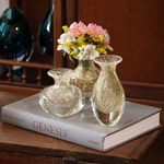 Vaso Mini Baixo Tela Transparente com Ouro