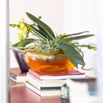 Vaso Oceano Mini 3 Âmbar com Ouro