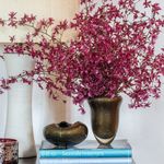 Vaso Oceano Mini 3 Preto com Ouro