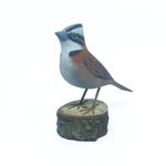 Pássaro Tico-Tico em Madeira