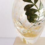 Vasinho Roca 3 Tela Transparente com Ouro