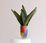 Vaso 444 MS Lascas Coloridas