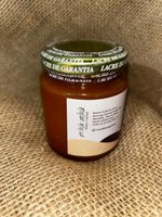 Geleia Orgânica de Abóbora com Mexerica - 260g - Conservas Reunidas