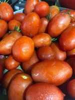 Molho de Tomate Caseiro Orgânico - 550g - da Roça para Você