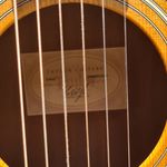 Violão De Aço Taylor 210ce Com Case Usado