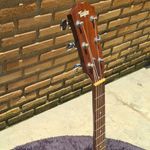 Violão De Aço Taylor 210ce Com Case Usado