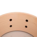 Caixa 14x6,5 Michael Powergate Maple