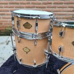 Bateria 18 Michael Legacy Shell Pack USADO