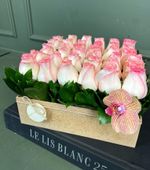 Pack Quadrado com Rosas Nacionais