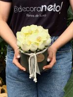Pack Redondo de Rosas Nacionais