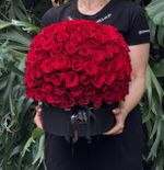 Arranjo Só Rosas  