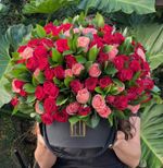 Arranjo Só Rosas com Folhagem