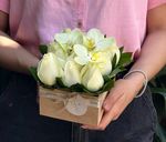 Pack Quadrado com Rosas Nacionais