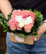 Pack Quadrado com Rosas Nacionais