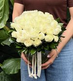 Arranjo Mimozin de Rosas Nacionais