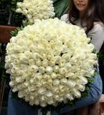 Buquê Rosas Nacionais