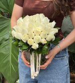 Arranjo Mimozin de Rosas Nacionais