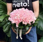 Arranjo Mimozin de Rosas Nacionais