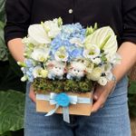 Arranjo Caixa Quadrada com Bichinhos - KIDS - Especial Gêmeos