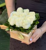 Pack Quadrado com Rosas Nacionais