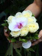 Pack Quadrado com Rosas Nacionais