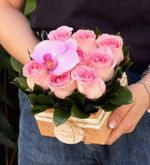 Pack Quadrado com Rosas Nacionais