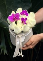 Pack Redondo de Rosas Nacionais