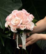 Arranjo Mimozin de Rosas Nacionais