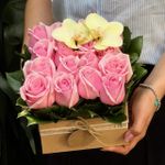 Pack Quadrado com Rosas Nacionais