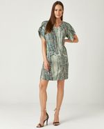 T-DRESS LISTRA FÓSSIL
